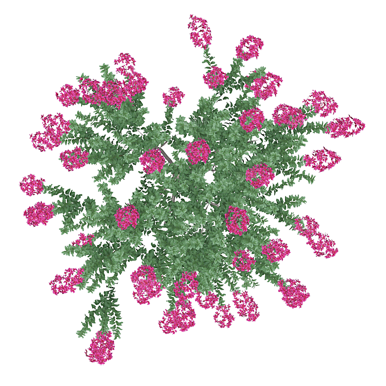 平面植物景观园林乔木灌木花草木顶视图素材