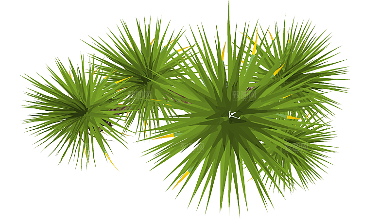 平面植物景观园林乔木灌木花草木顶视图