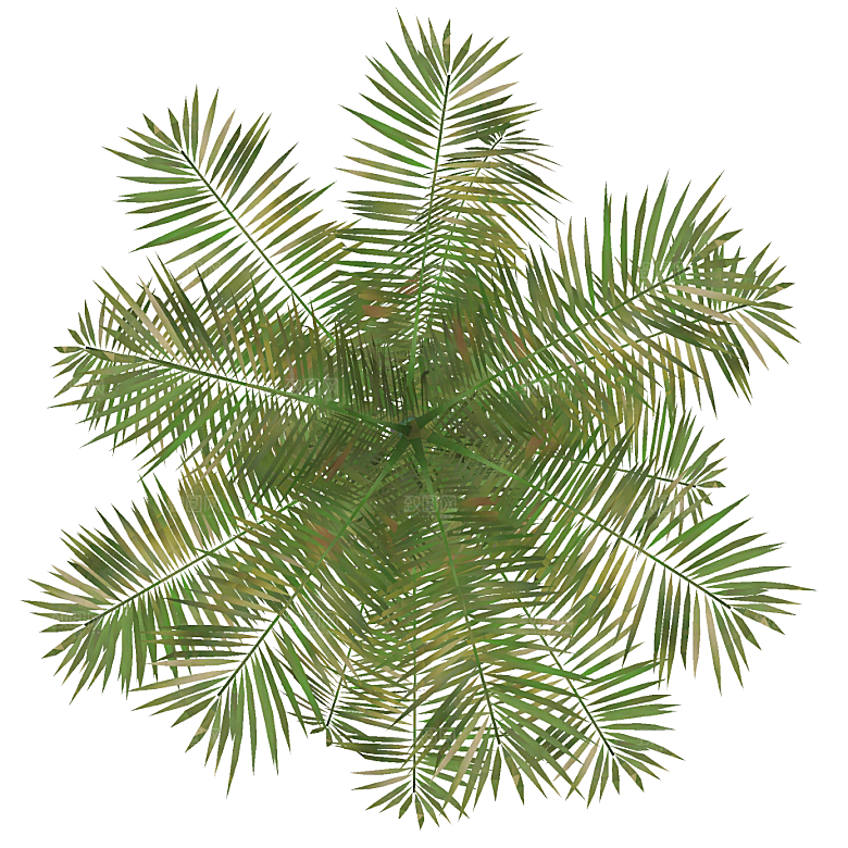 平面植物景观园林乔木灌木花草木顶视图