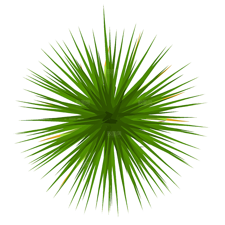 平面植物景观园林乔木灌木花草木顶视图
