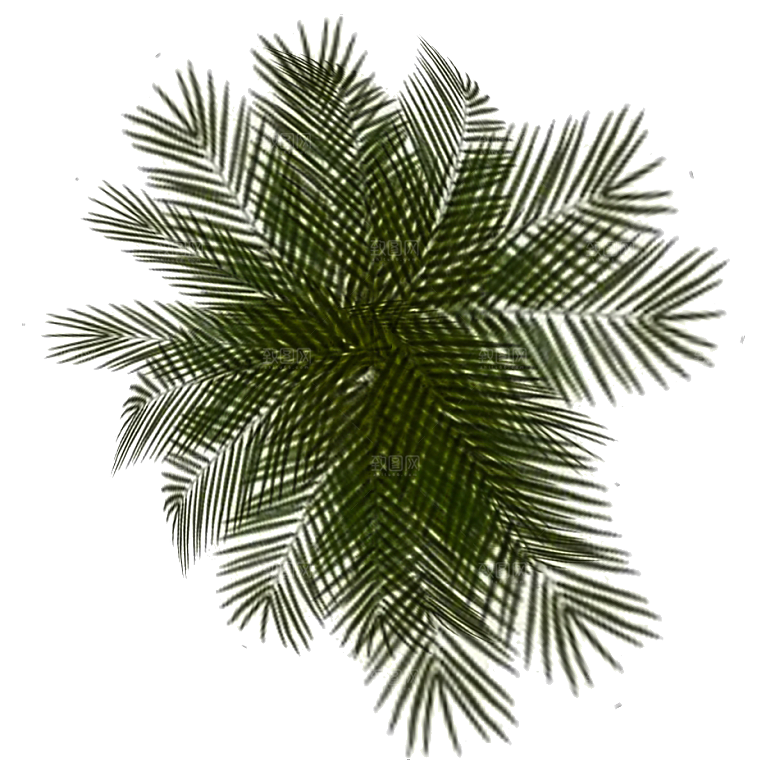 平面植物景观园林乔木灌木花草木顶视图