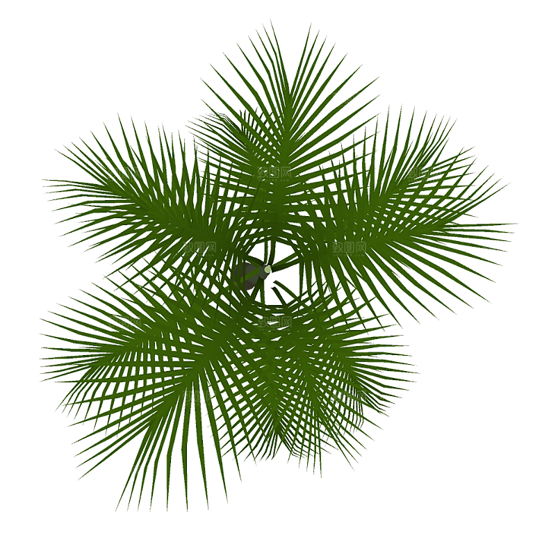 平面植物景观园林乔木灌木花草木顶视图