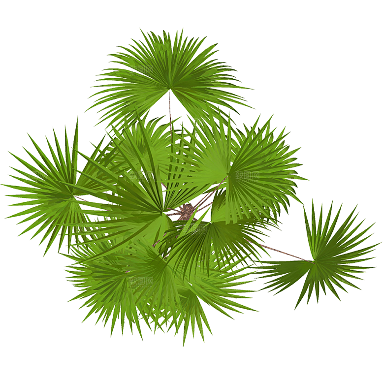 平面植物景观园林乔木灌木花草木顶视图