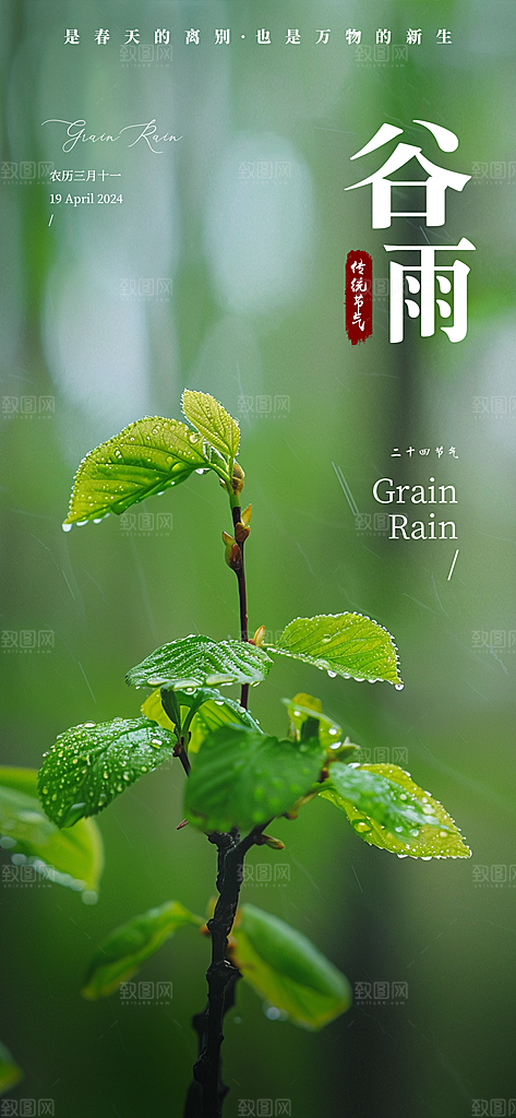 中国传统节气谷雨手机海报