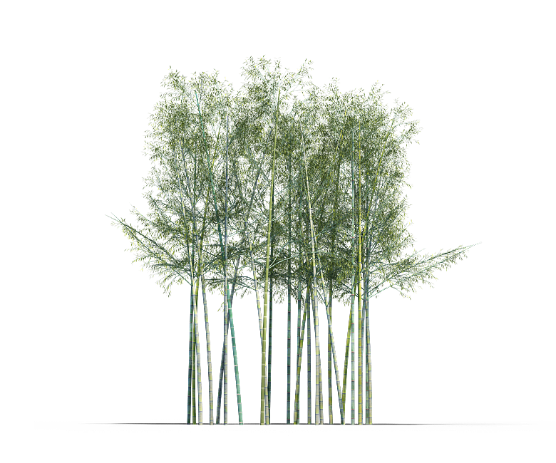 高清景观植物乔木花卉草本观赏草灌木