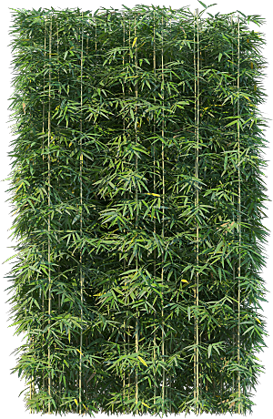 高清景观植物乔木花卉草本观赏草灌木