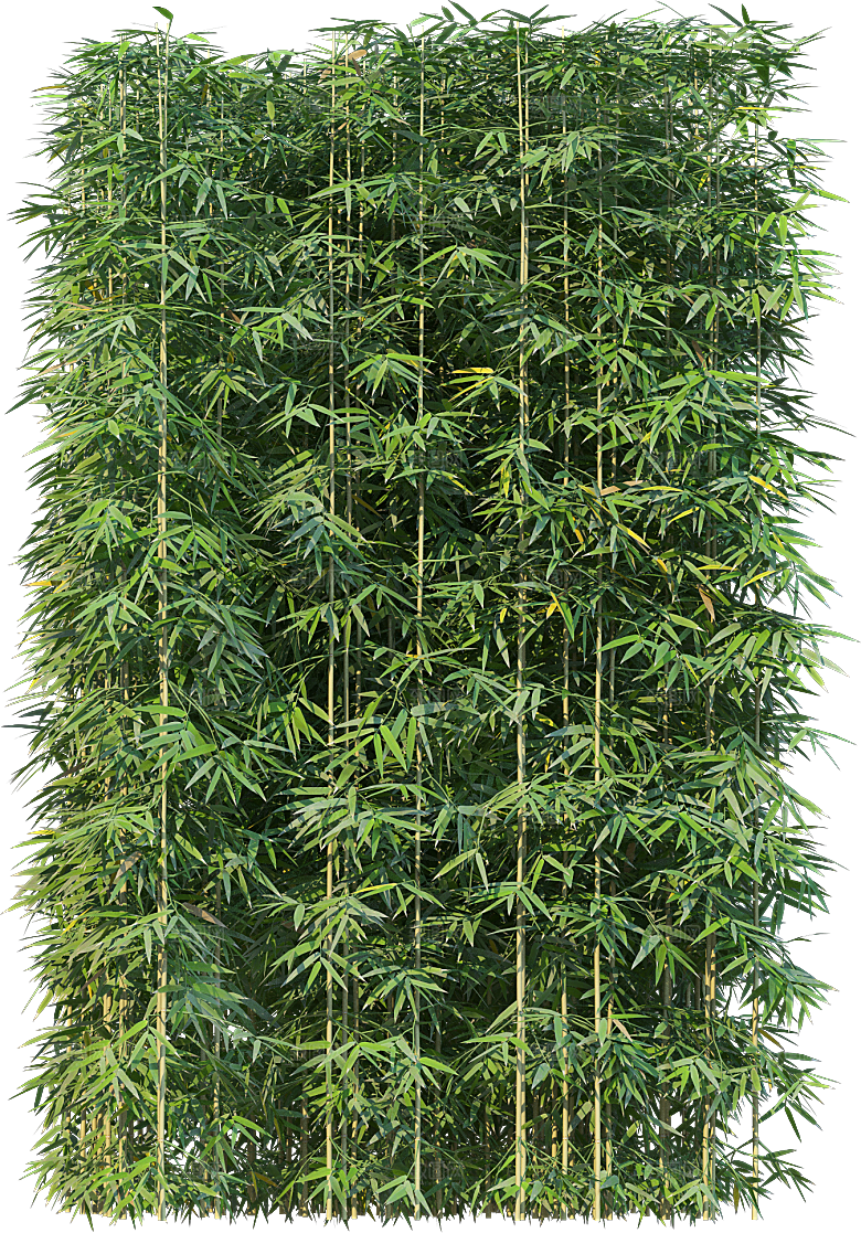 高清景观植物乔木花卉草本观赏草灌木素材