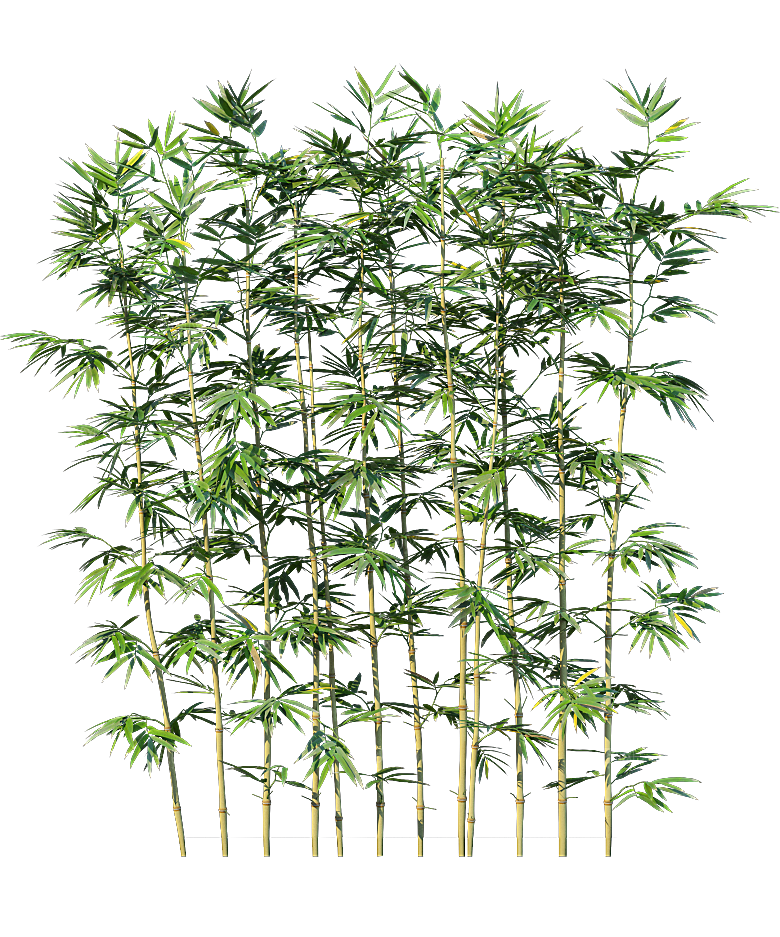 高清景观植物乔木花卉草本观赏草灌木素材