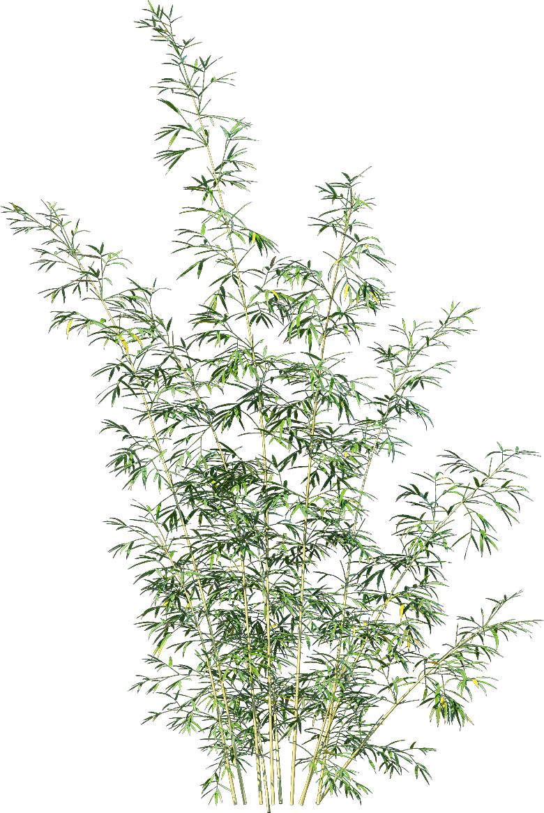 高清景观植物乔木花卉草本观赏草灌木
