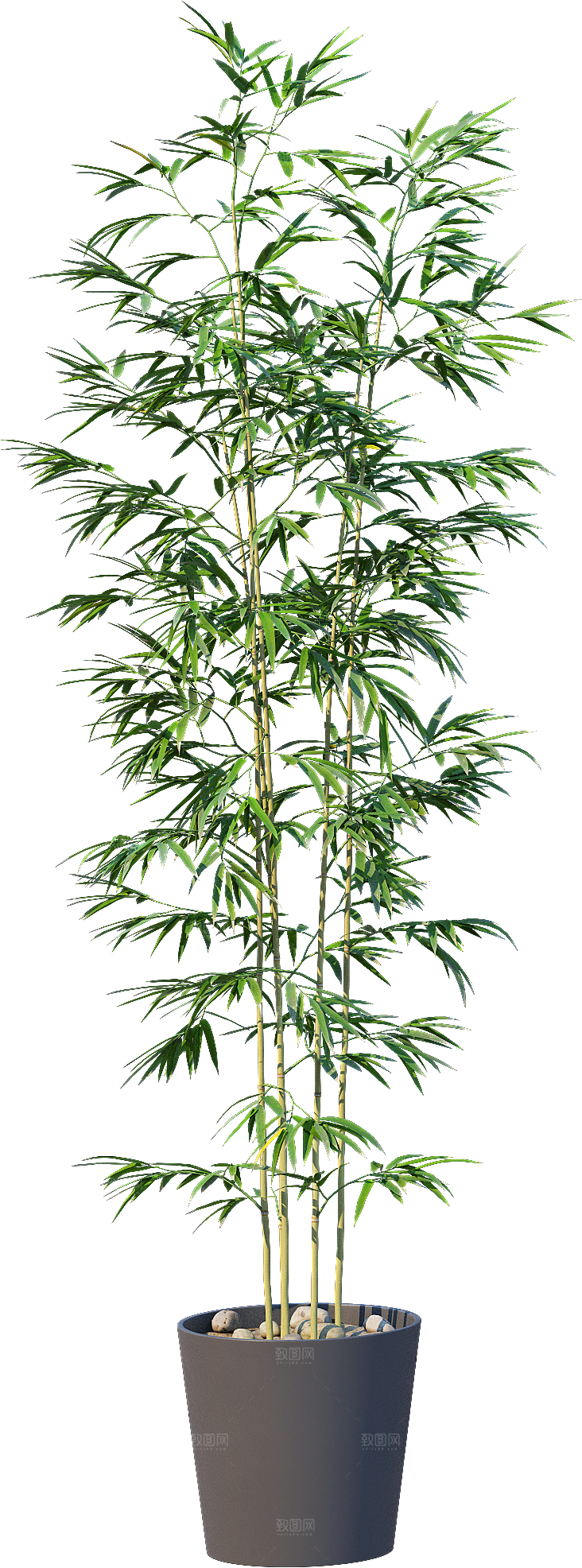 高清景观植物乔木花卉草本观赏草灌木素材