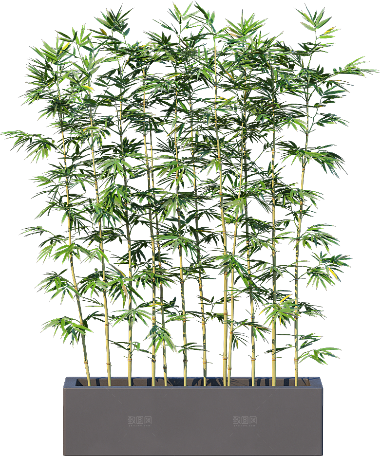 高清景观植物乔木花卉草本观赏草灌木素材