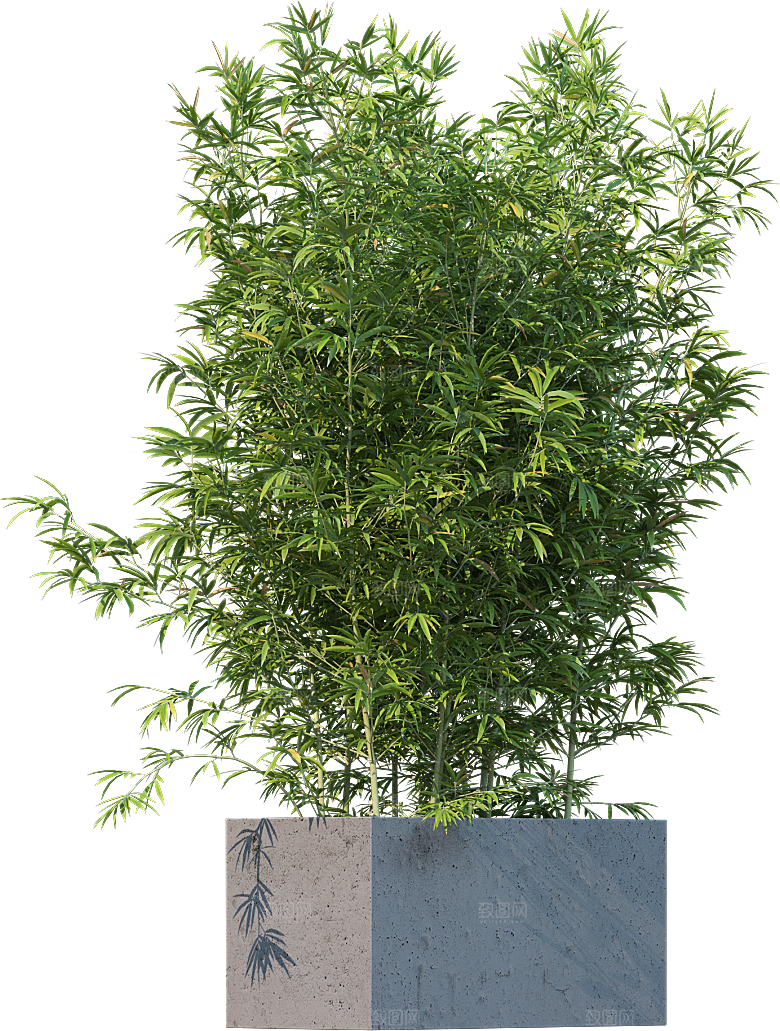 高清景观植物乔木花卉草本观赏草灌木