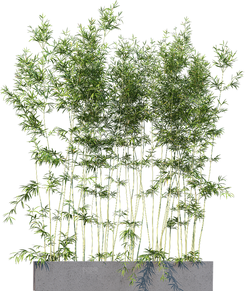 高清景观植物乔木花卉草本观赏草灌木