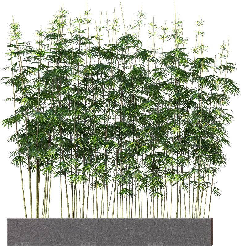 高清景观植物乔木花卉草本观赏草灌木素材