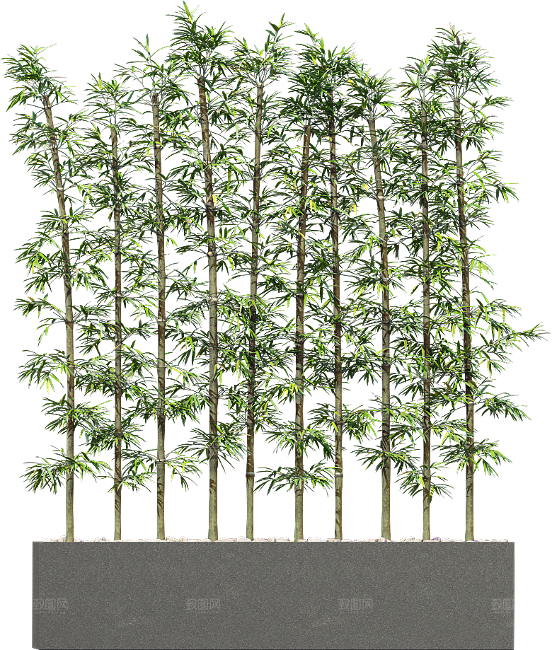 高清景观植物乔木花卉草本观赏草灌木