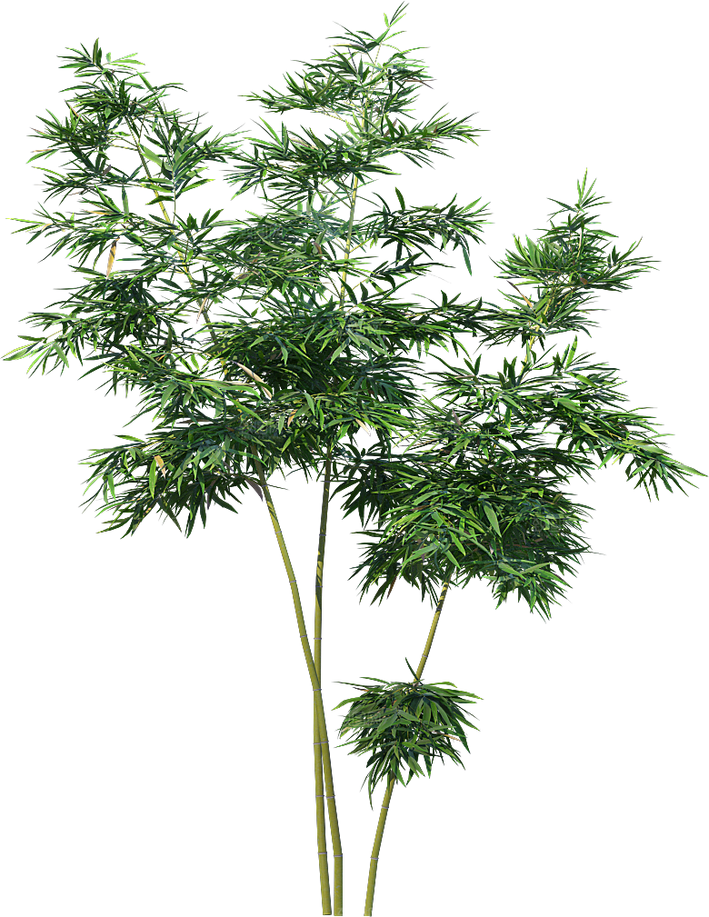 高清景观植物乔木花卉草本观赏草灌木素材