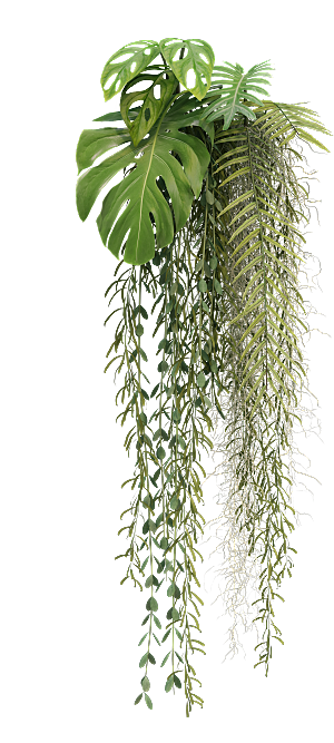 高清景观植物乔木花卉草本观赏草灌木素材