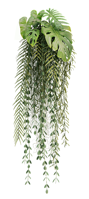 高清景观植物乔木花卉草本观赏草灌木