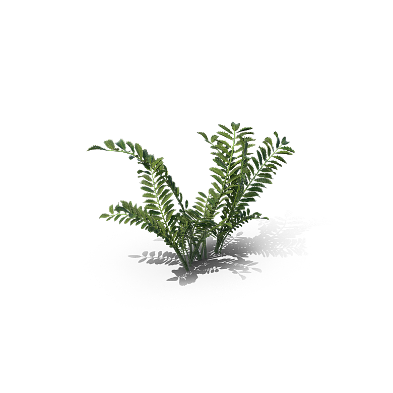 高清景观植物乔木花卉草本观赏草灌木素材