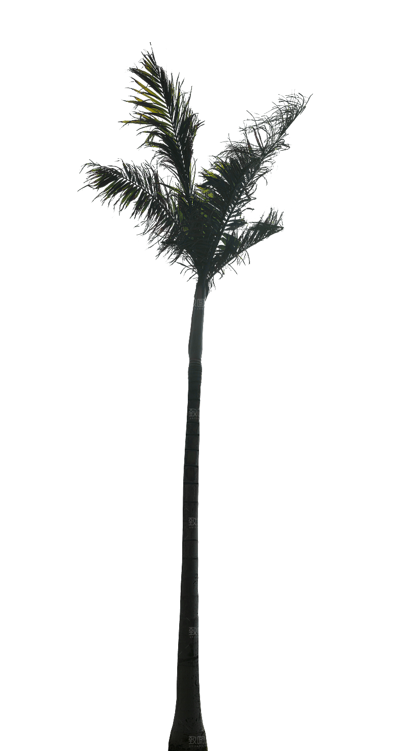 高清景观植物乔木花卉草本观赏草灌木素材