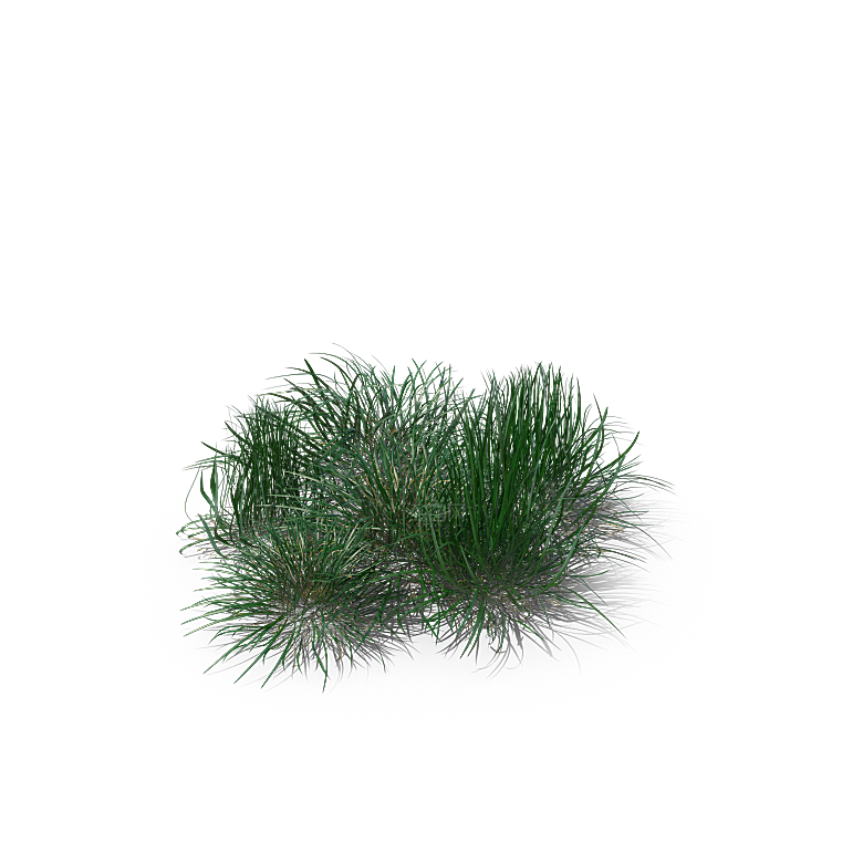 高清景观植物乔木花卉草本观赏草灌木