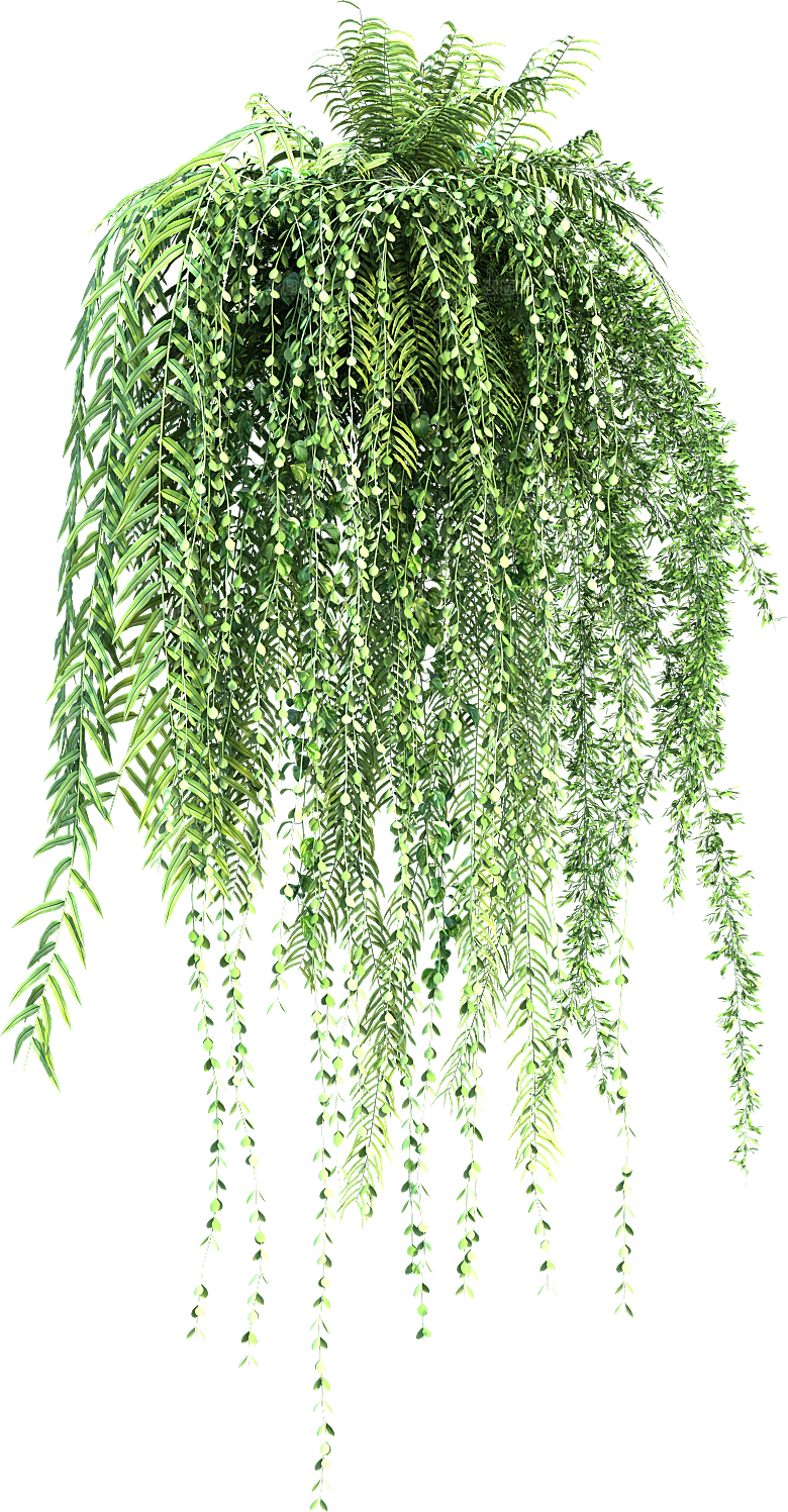 高清景观植物乔木花卉草本观赏草灌木素材