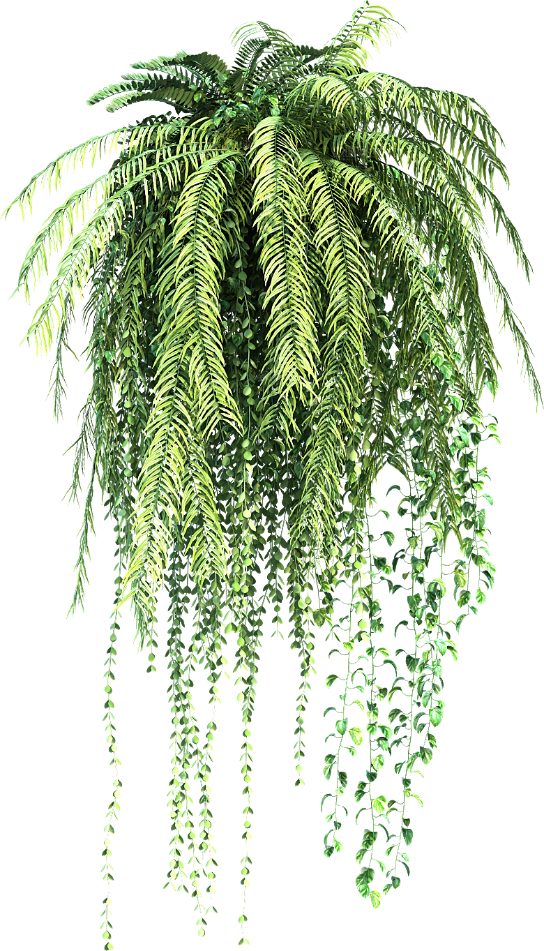 高清景观植物乔木花卉草本观赏草灌木素材