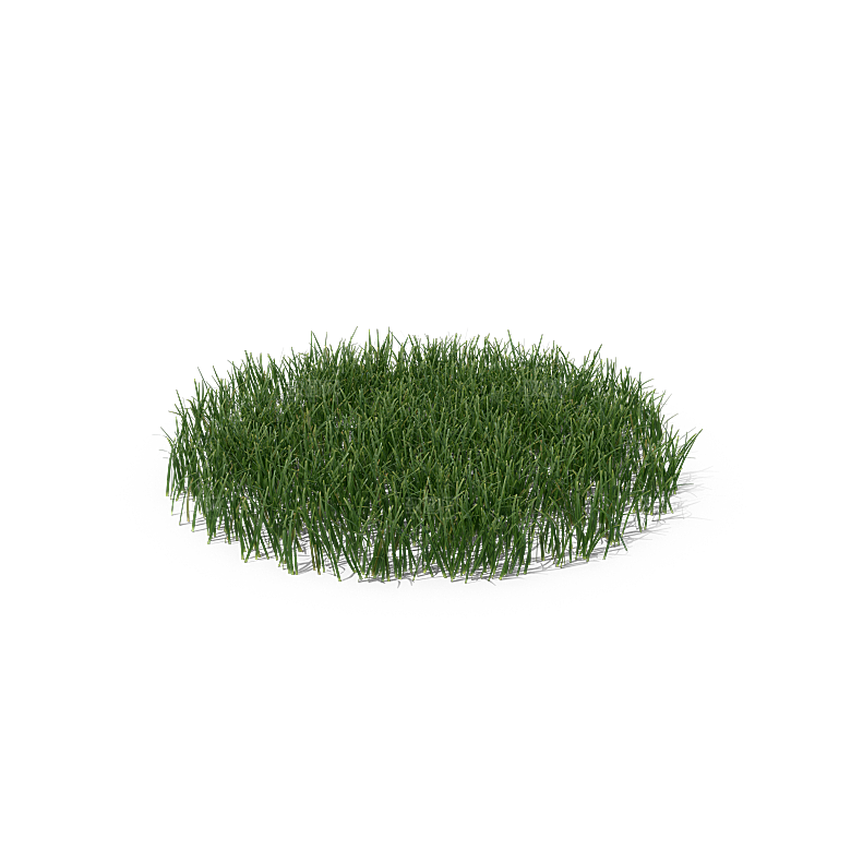 高清景观植物乔木花卉草本观赏草灌木素材