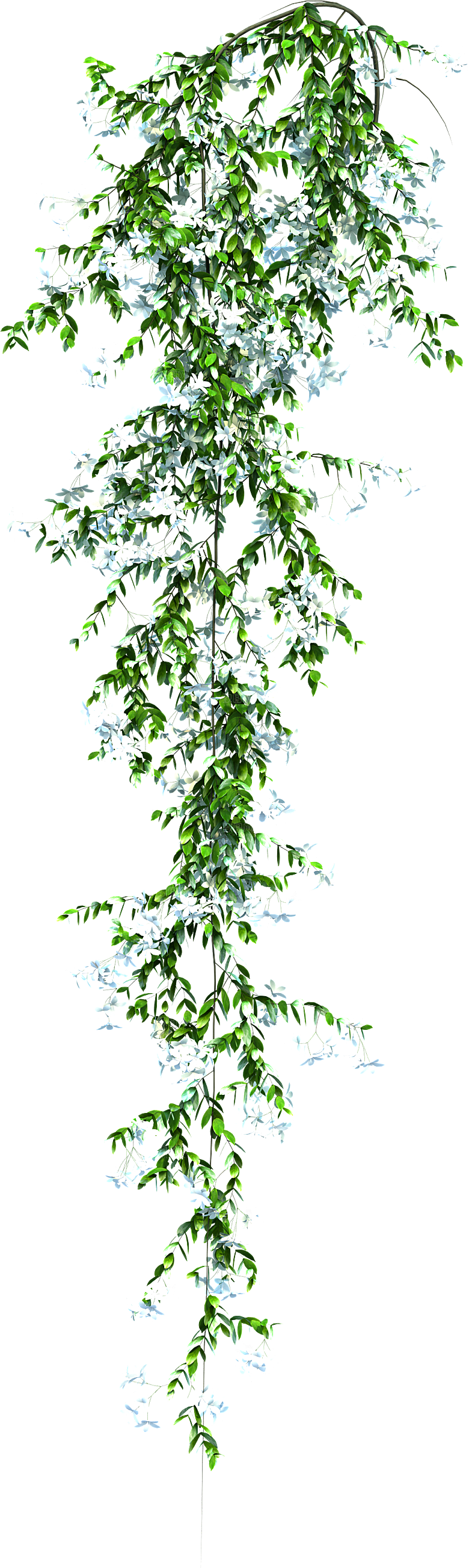 高清景观植物乔木花卉草本观赏草灌木