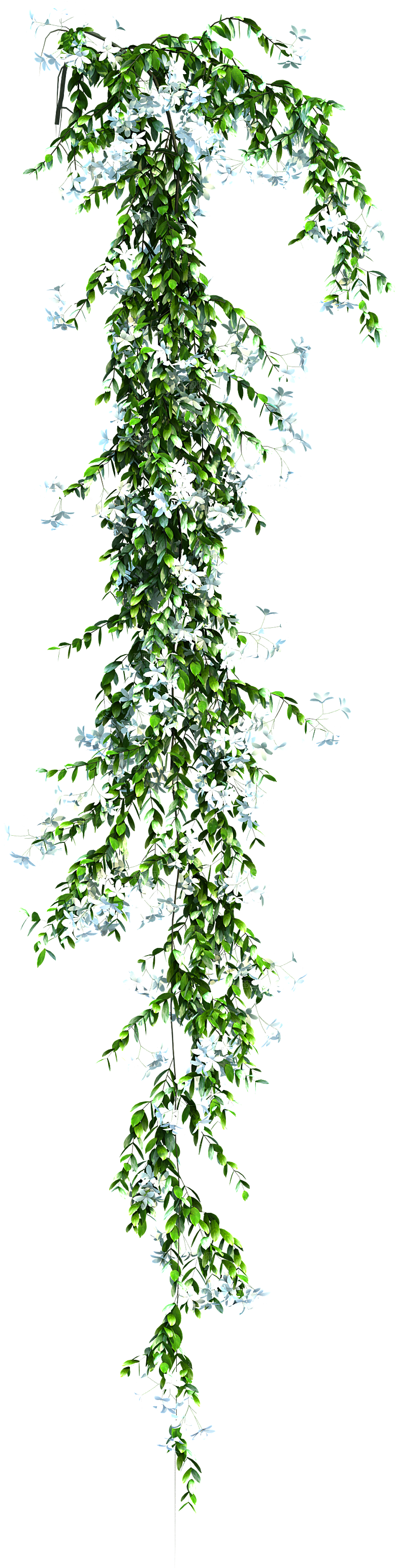 高清景观植物乔木花卉草本观赏草灌木
