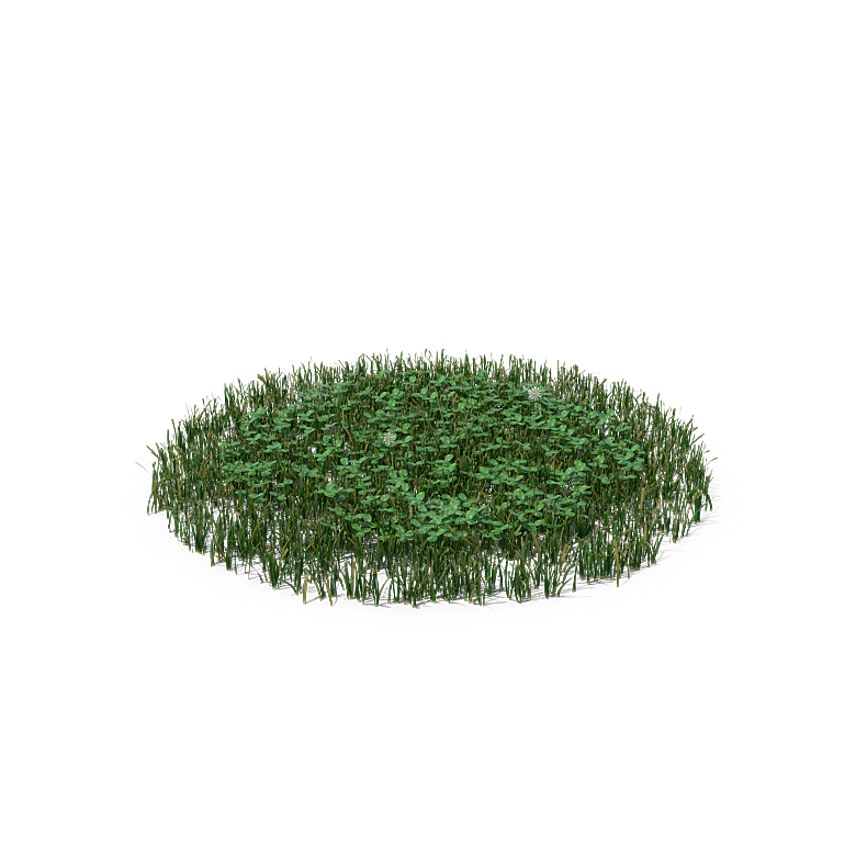 高清景观植物乔木花卉草本观赏草灌木素材