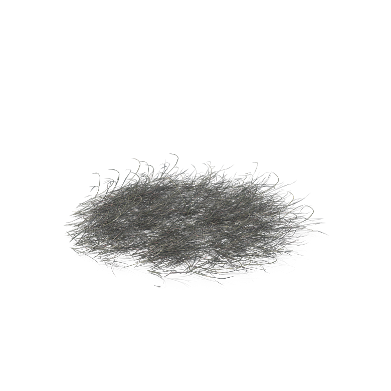 高清景观植物乔木花卉草本观赏草灌木
