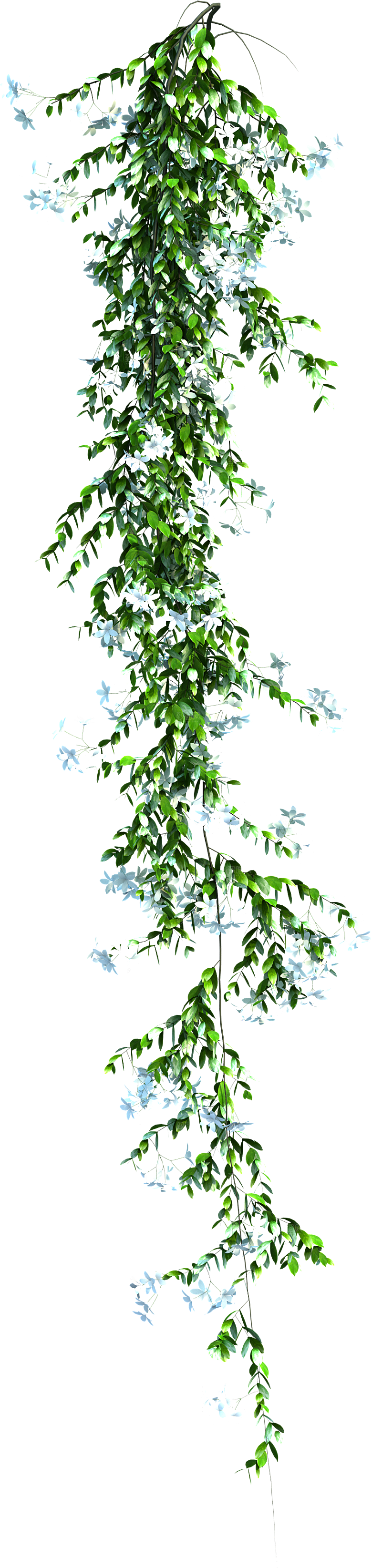 高清景观植物乔木花卉草本观赏草灌木素材