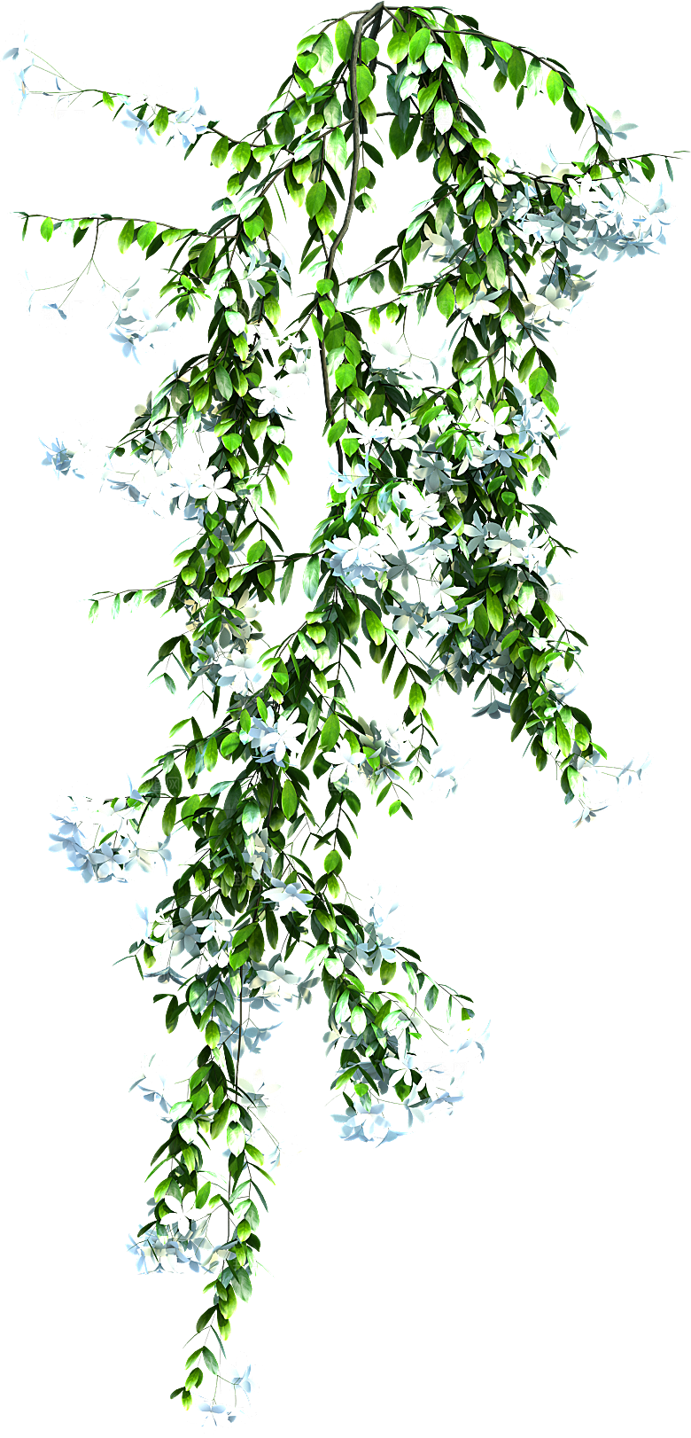 高清景观植物乔木花卉草本观赏草灌木