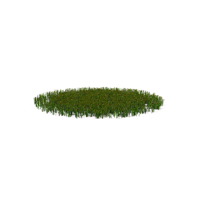 高清景观植物乔木花卉草本观赏草灌木