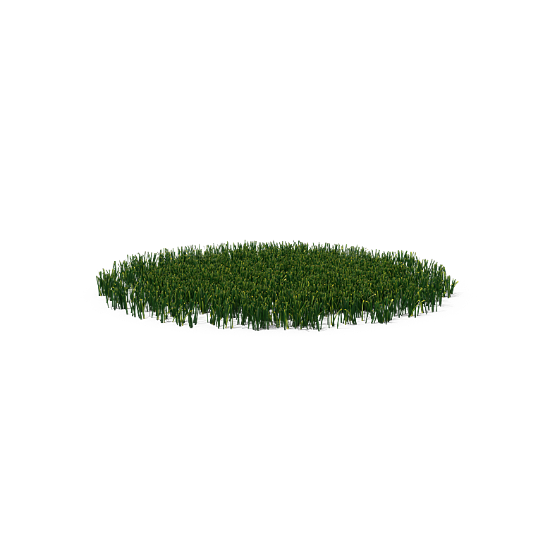 高清景观植物乔木花卉草本观赏草灌木素材