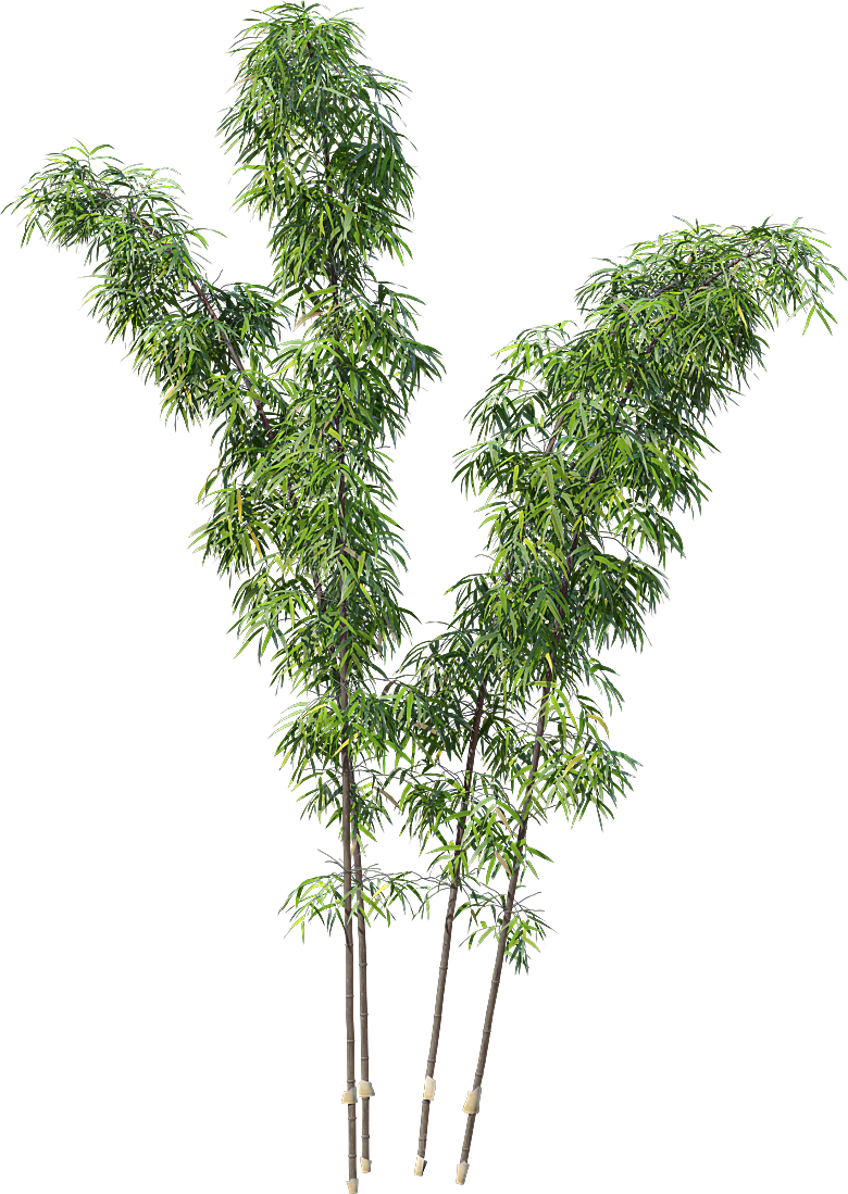 高清景观植物乔木花卉草本观赏草灌木