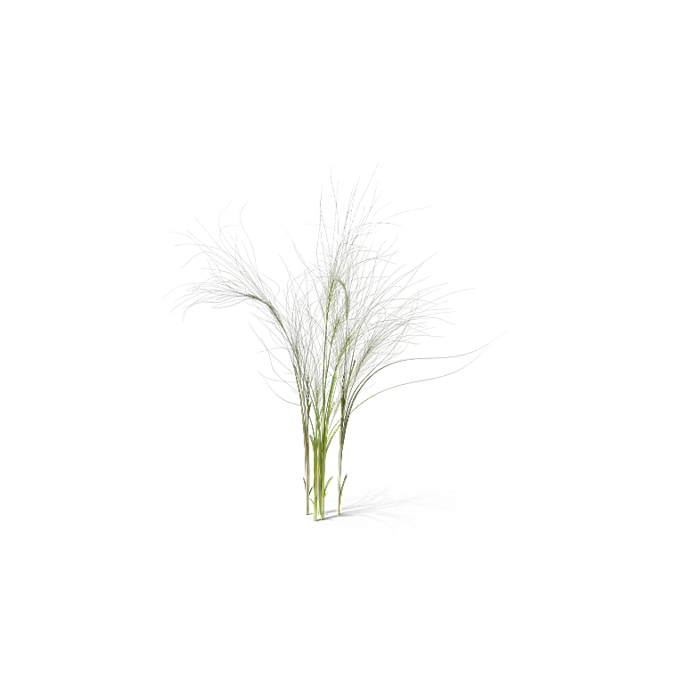 高清景观植物乔木花卉草本观赏草灌木素材