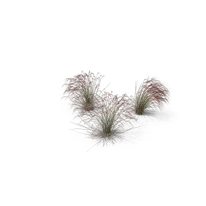 高清景观植物乔木花卉草本观赏草灌木