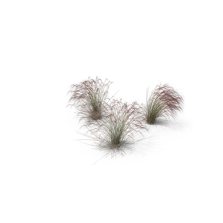 高清景观植物乔木花卉草本观赏草灌木