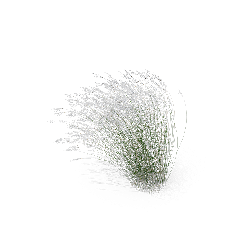 高清景观植物乔木花卉草本观赏草灌木素材