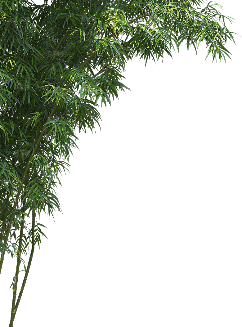 高清景观植物乔木花卉草本观赏草灌木