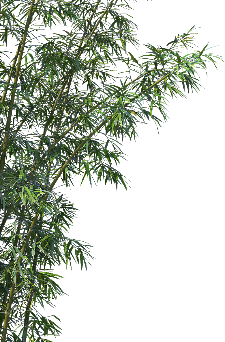 高清景观植物乔木花卉草本观赏草灌木素材