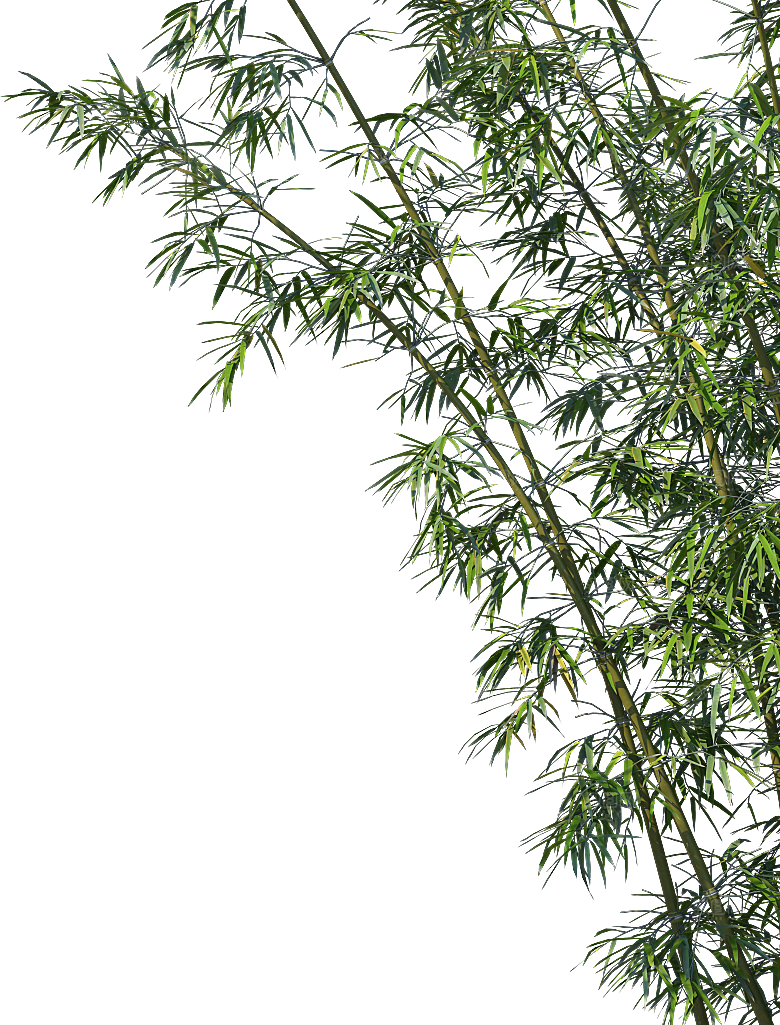 高清景观植物乔木花卉草本观赏草灌木
