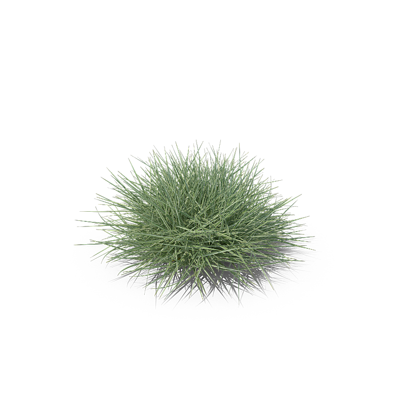 高清景观植物乔木花卉草本观赏草灌木素材