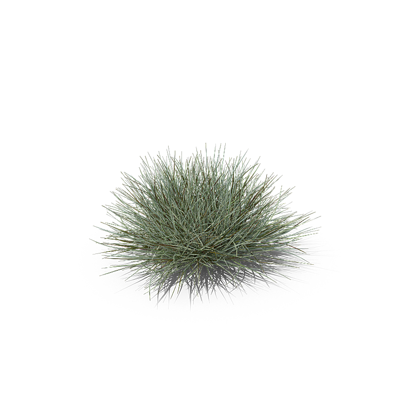 高清景观植物乔木花卉草本观赏草灌木素材