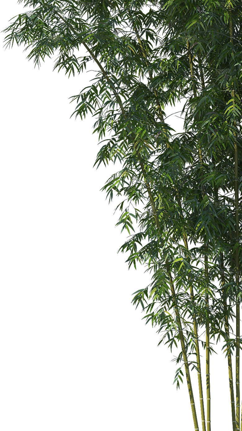 高清景观植物乔木花卉草本观赏草灌木