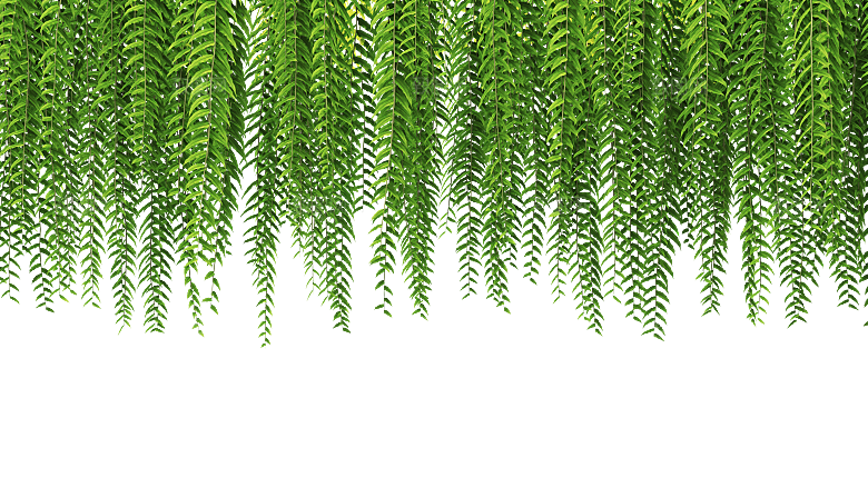 高清景观植物乔木花卉草本观赏草灌木素材