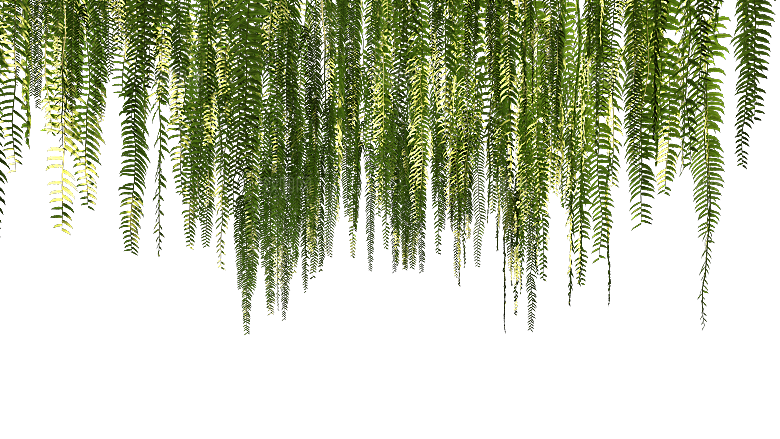 高清景观植物乔木花卉草本观赏草灌木素材