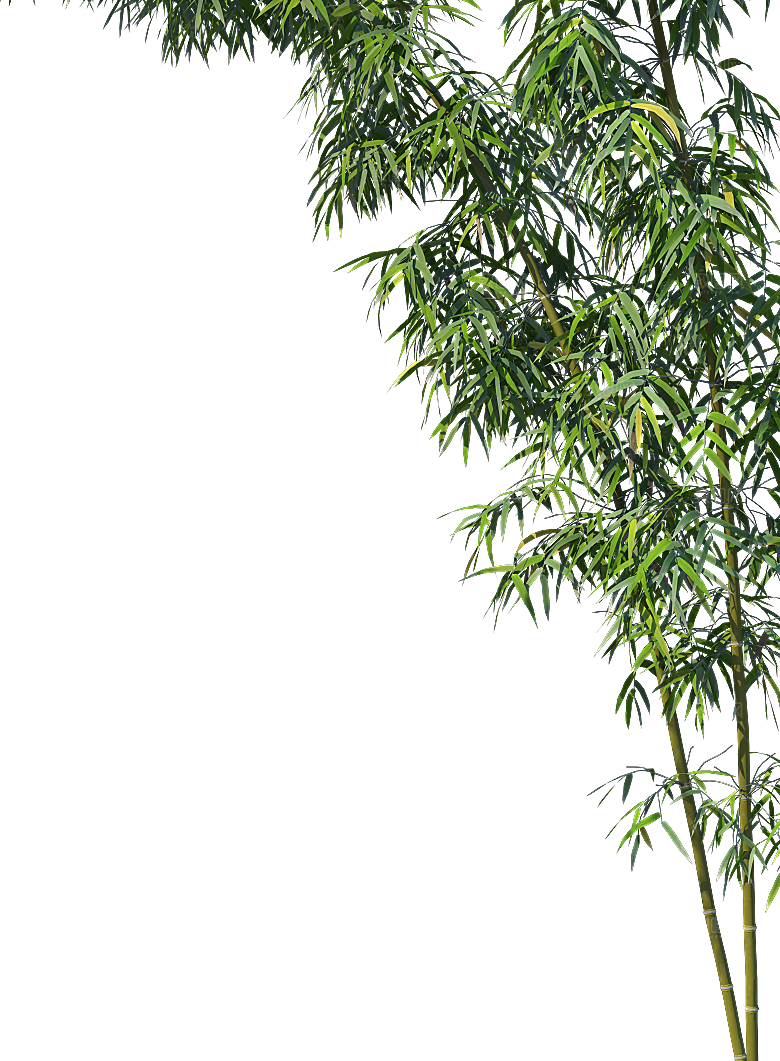 高清景观植物乔木花卉草本观赏草灌木